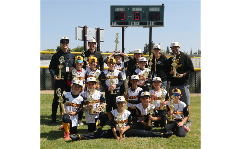 2025 AA CHAMPIONS