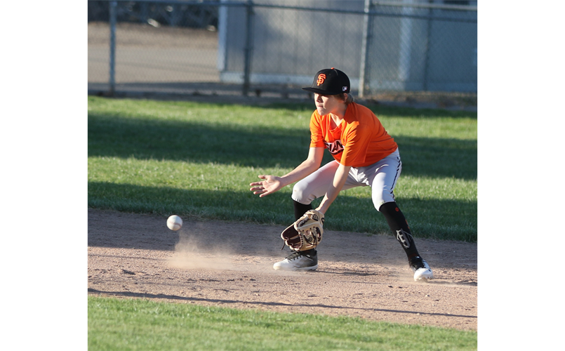 Bill Nale Photography